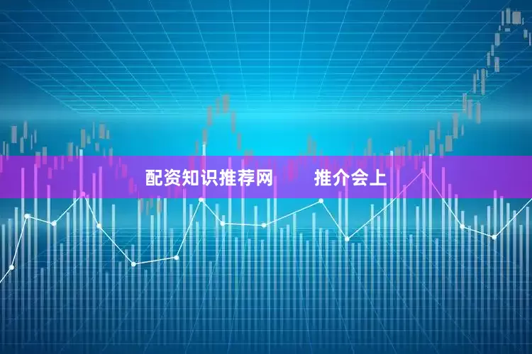 配资知识推荐网        推介会上
