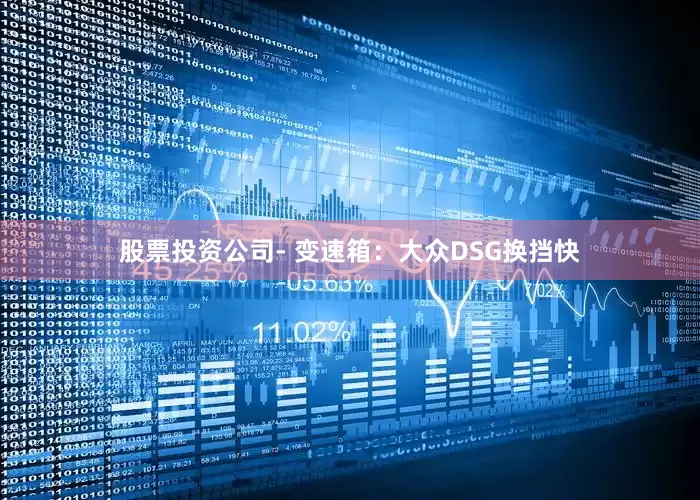 股票投资公司- 变速箱：大众DSG换挡快
