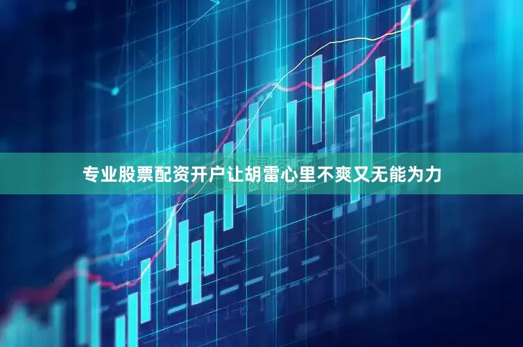 专业股票配资开户让胡雷心里不爽又无能为力
