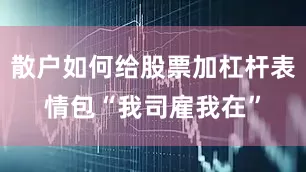 散户如何给股票加杠杆表情包“我司雇我在”