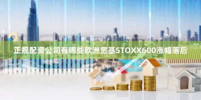 正规配资公司有哪些欧洲宽基STOXX600涨幅落后