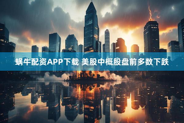 蜗牛配资APP下载 美股中概股盘前多数下跌